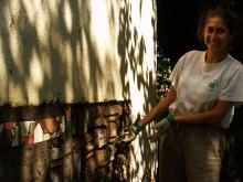 Annabell repairing a cob wall